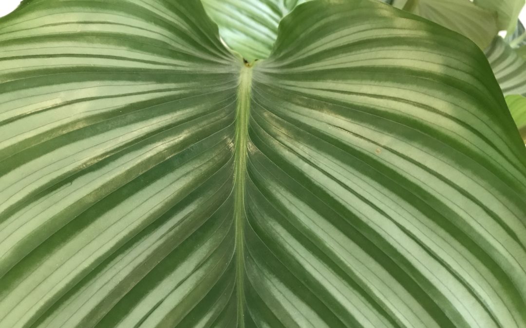 Why clean beauty matters