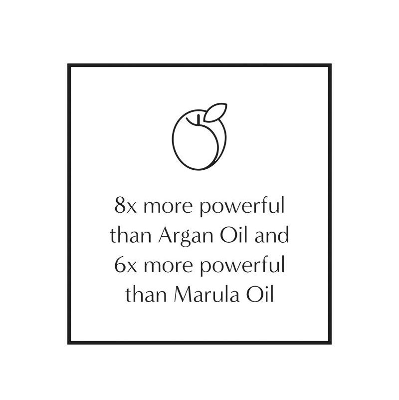 LePrunier_StatmentLockup_FN_White_r_2048x