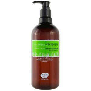 Whamisa Organic Fruits Body Cleanser